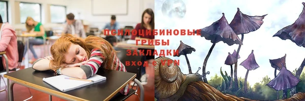 эйфоретик Рославль