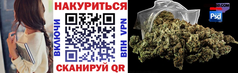 Марихуана гибрид  Аша 